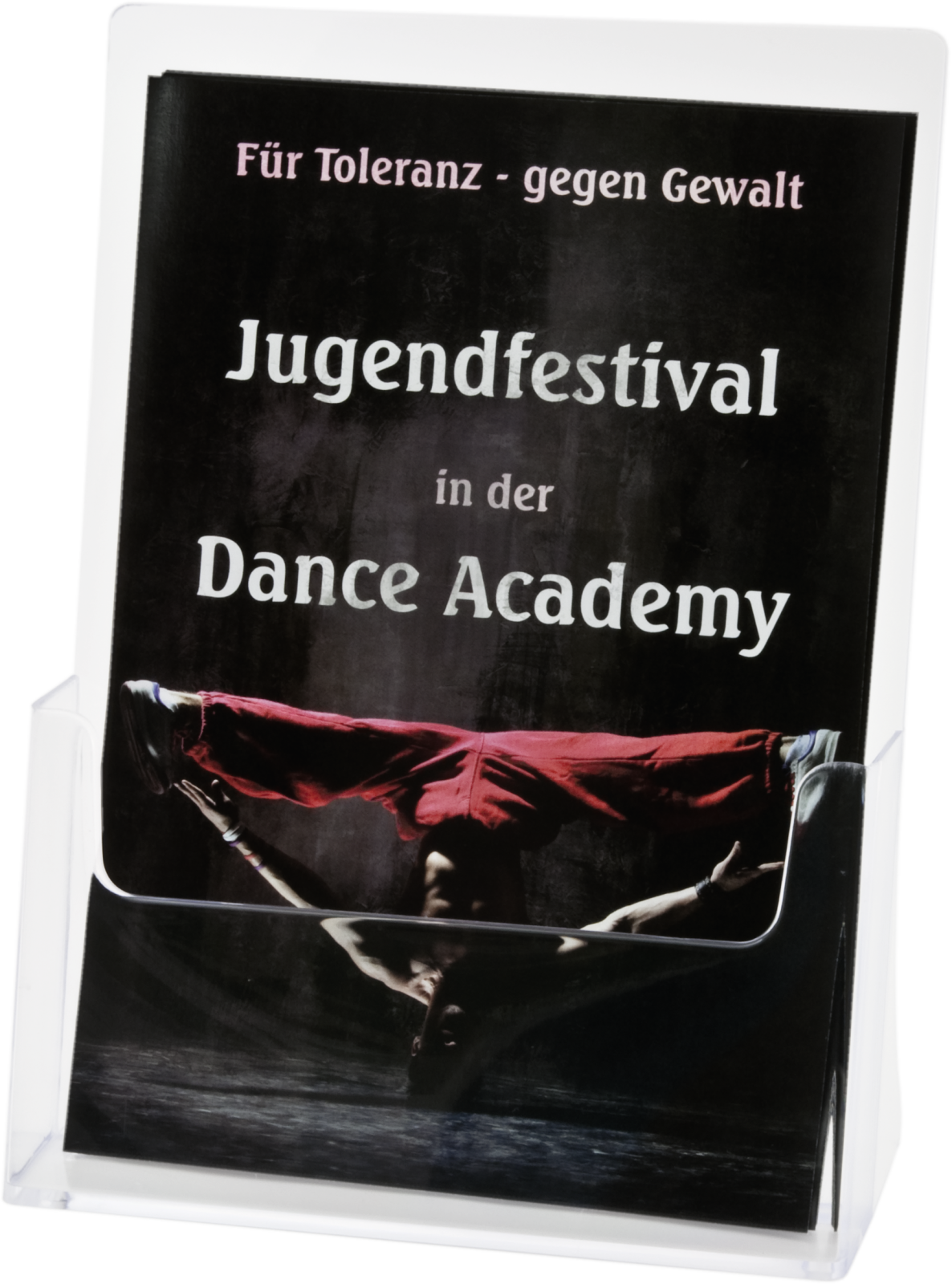 Prospektbox DIN A4, Kunststoff, 210x297 mm - Bild 1 von 1